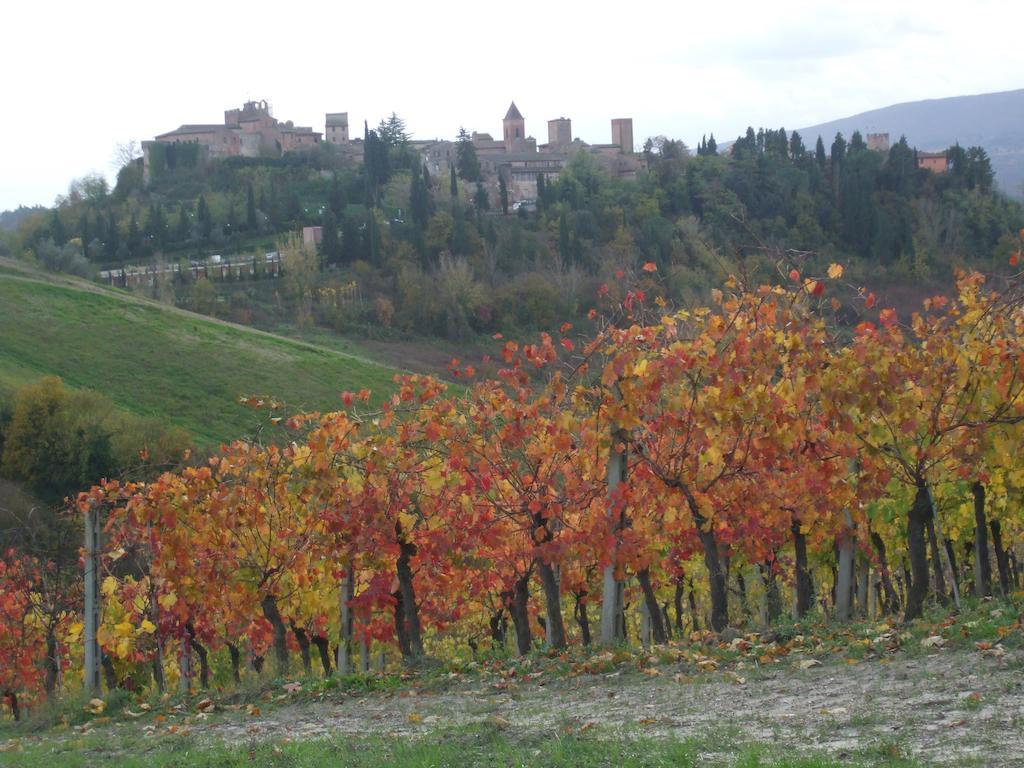 Agriturismo Il Torrione Черталдо Екстериор снимка