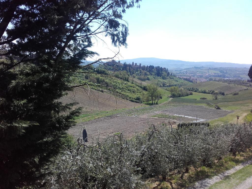 Agriturismo Il Torrione Черталдо Екстериор снимка