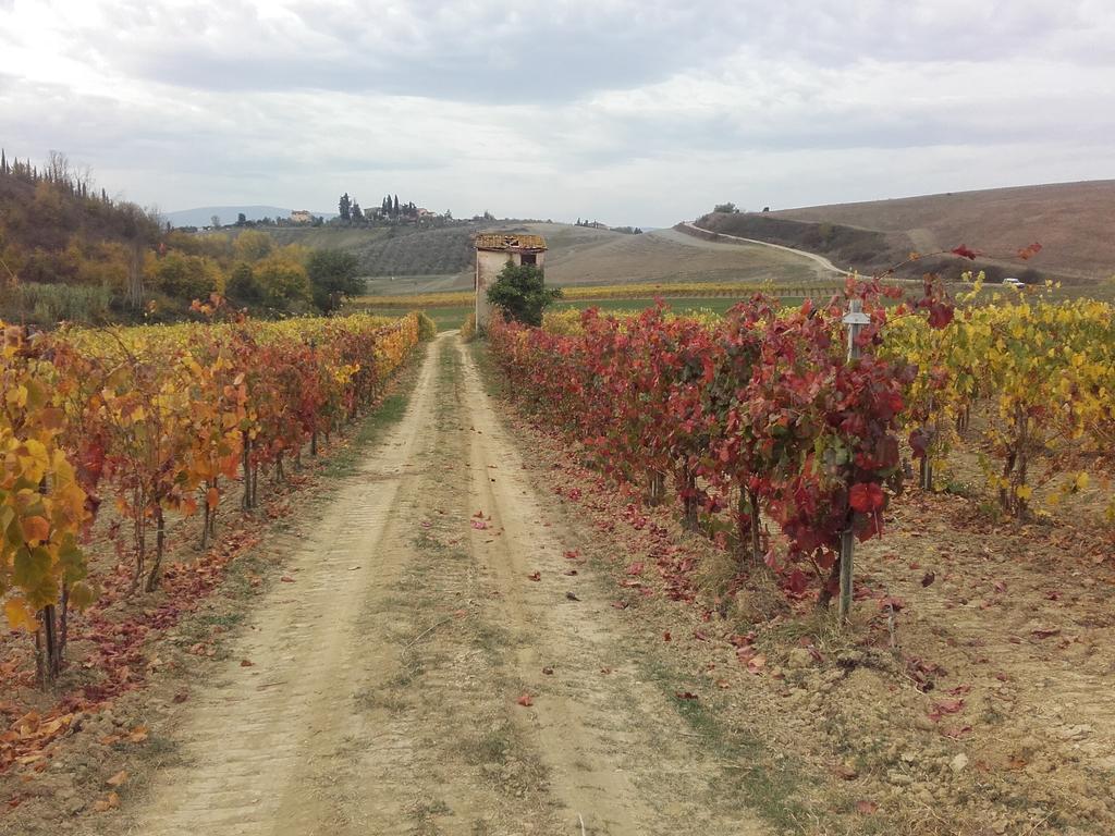 Agriturismo Il Torrione Черталдо Екстериор снимка
