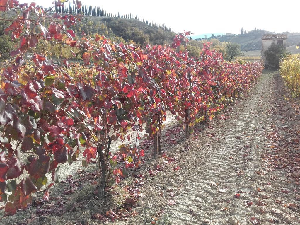 Agriturismo Il Torrione Черталдо Екстериор снимка