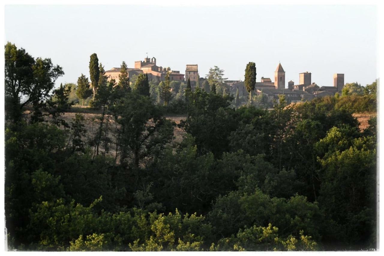 Agriturismo Il Torrione Villa Черталдо Екстериор снимка